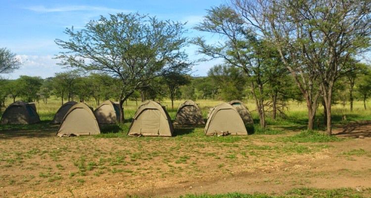 Apa yang Diharapkan: Berkemah di Serengeti