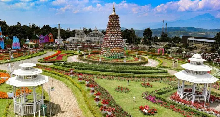 Taman Bunga Celosia: Pesona Bunga Berwarna-warni di Semarang